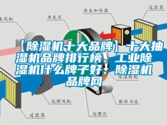 常見問題【除濕機(jī)十大品牌】十大抽濕機(jī)品牌排行榜、工業(yè)除濕機(jī)什么牌子好、除濕機(jī)品牌網(wǎng)