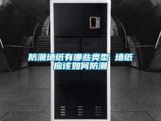 常見問題防潮墻紙有哪些類型 墻紙應該如何防潮