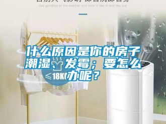常見問題什么原因是你的房子潮濕、發(fā)霉；要怎么辦呢？
