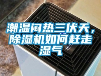 企業新聞潮濕悶熱三伏天，除濕機如何趕走濕氣