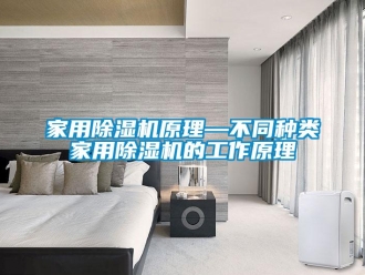 常見(jiàn)問(wèn)題家用除濕機(jī)原理—不同種類(lèi)家用除濕機(jī)的工作原理