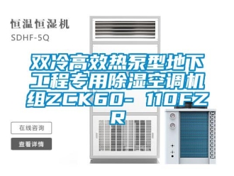 行業(yè)新聞雙冷高效熱泵型地下工程專用除濕空調(diào)機組ZCK60- 110FZR