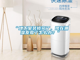 企業(yè)新聞“地下室裝修完了，現(xiàn)在潮濕發(fā)霉了怎么辦？”