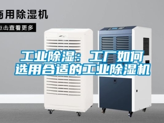 常見問題工業除濕：工廠如何選用合適的工業除濕機
