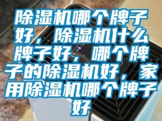 常見問題除濕機(jī)哪個(gè)牌子好，除濕機(jī)什么牌子好，哪個(gè)牌子的除濕機(jī)好，家用除濕機(jī)哪個(gè)牌子好
