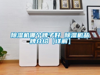 企業新聞除濕機哪個牌子好 除濕機品牌介紹【詳解】