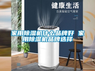 企業(yè)新聞家用除濕機(jī)什么品牌好 家用除濕機(jī)品牌選擇