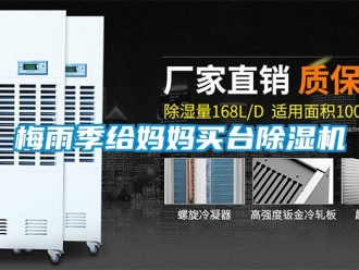 行業新聞梅雨季給媽媽買臺除濕機