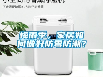 常見問題梅雨季，家居如何做好防霉防潮？