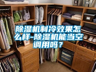 行業新聞除濕機制冷效果怎么樣-除濕機能當空調用嗎？