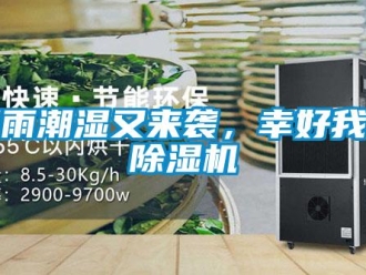 知識百科陰雨潮濕又來襲，幸好我有除濕機(jī)