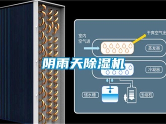 知識百科陰雨天除濕機