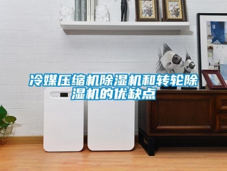 常見問題冷媒壓縮機(jī)除濕機(jī)和轉(zhuǎn)輪除濕機(jī)的優(yōu)缺點(diǎn)