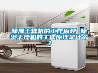 企業新聞除濕干燥機的工作原理 除濕干燥機的工作原理是什么？