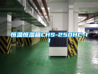 知識百科恒溫恒濕箱LHS-250HC-II