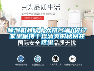 企業新聞除濕機品牌十大排名哪個好？家里保持干燥清爽的秘密在這里