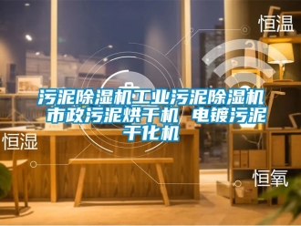 常見問題污泥除濕機工業污泥除濕機 市政污泥烘干機 電鍍污泥干化機