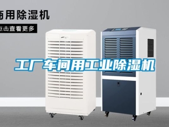 常見問題工廠車間用工業除濕機