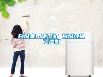 常見問題白城家用除濕機 白城經銷除濕機