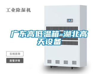 常見(jiàn)問(wèn)題廣東高低溫箱-湖北高天設(shè)備