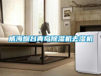 行業新聞威海煙臺青島除濕機去濕機