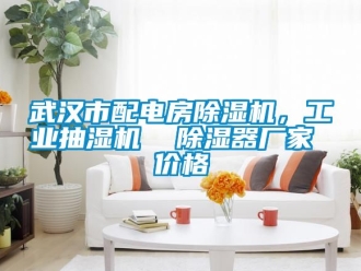 企業(yè)新聞武漢市配電房除濕機(jī)，工業(yè)抽濕機(jī)  除濕器廠家 價(jià)格