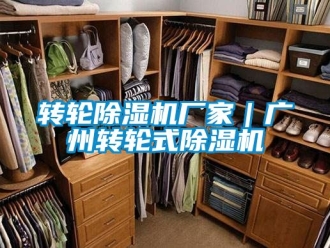 企業新聞轉輪除濕機廠家｜廣州轉輪式除濕機