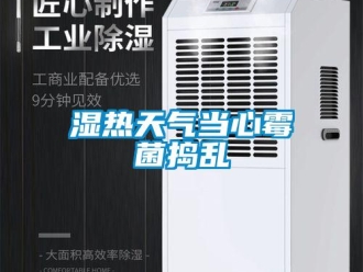 知識百科濕熱天氣當心霉菌搗亂