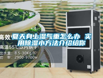 企業(yè)新聞夏天身上濕氣重怎么辦 實(shí)用除濕小方法介紹給你