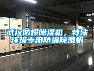 企業(yè)新聞武漢防爆除濕機(jī)，特殊環(huán)境專(zhuān)用防爆除濕機(jī)