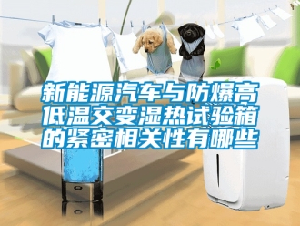 企業(yè)新聞新能源汽車與防爆高低溫交變濕熱試驗箱的緊密相關(guān)性有哪些