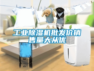 常見(jiàn)問(wèn)題工業(yè)除濕機(jī)批發(fā)價(jià)銷(xiāo)售量大從優(yōu)