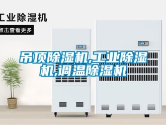 企業(yè)新聞吊頂除濕機(jī),工業(yè)除濕機(jī),調(diào)溫除濕機(jī)