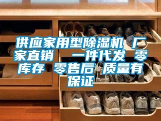 企業(yè)新聞供應(yīng)家用型除濕機 廠家直銷  一件代發(fā) 零庫存 零售后 質(zhì)量有保證