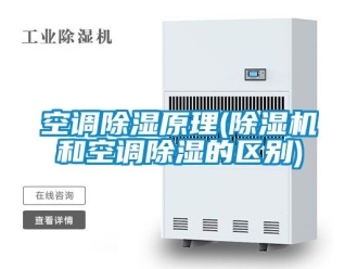 行業(yè)新聞空調除濕原理(除濕機和空調除濕的區(qū)別)