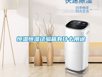 知識百科恒溫恒濕試驗箱有什么用途
