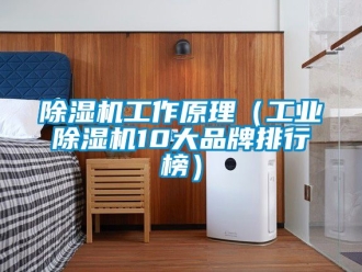 常見問題除濕機工作原理（工業除濕機10大品牌排行榜）