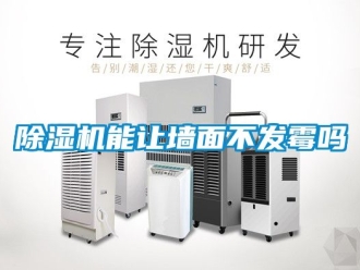 行業新聞除濕機能讓墻面不發霉嗎