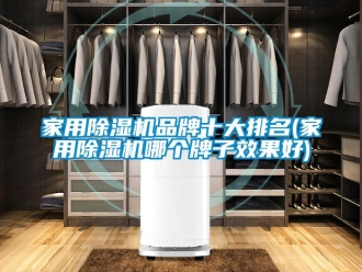 企業(yè)新聞家用除濕機(jī)品牌十大排名(家用除濕機(jī)哪個(gè)牌子效果好)