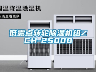 常見(jiàn)問(wèn)題低露點(diǎn)轉(zhuǎn)輪除濕機(jī)組ZCH-25000