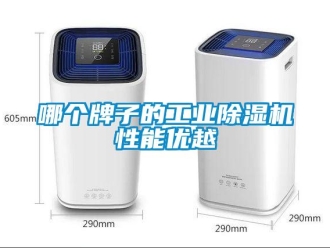 常見問(wèn)題哪個(gè)牌子的工業(yè)除濕機(jī)性能優(yōu)越