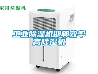 常見問題工業除濕機邯鄲效率高除濕機