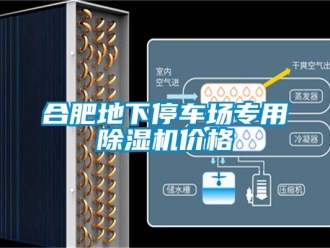 企業新聞合肥地下停車場專用除濕機價格