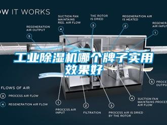 常見問題工業除濕機哪個牌子實用效果好
