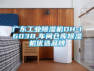 常見(jiàn)問(wèn)題廣東工業(yè)除濕機(jī)DH-1603B,車(chē)間倉(cāng)庫(kù)除濕機(jī)優(yōu)選品牌