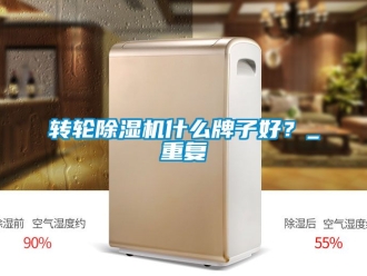 常見問題轉輪除濕機什么牌子好？_重復