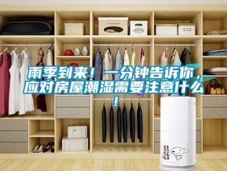 知識百科雨季到來！一分鐘告訴你，應對房屋潮濕需要注意什么！