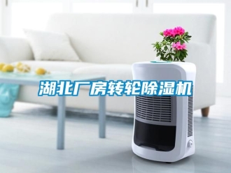 常見問題湖北廠房轉(zhuǎn)輪除濕機(jī)