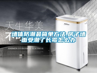常見問題墻體防潮最簡單方法,房子墻面受潮了長霉怎么辦