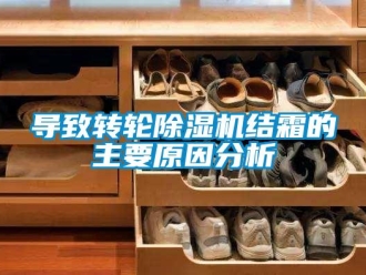常見問題導致轉輪除濕機結霜的主要原因分析